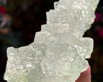 312g Natural Halite Crystal Cluster (Galite) with Atacamite – Poland – Raw Cubic Specimen | Evaporite Crystal | 45p-5