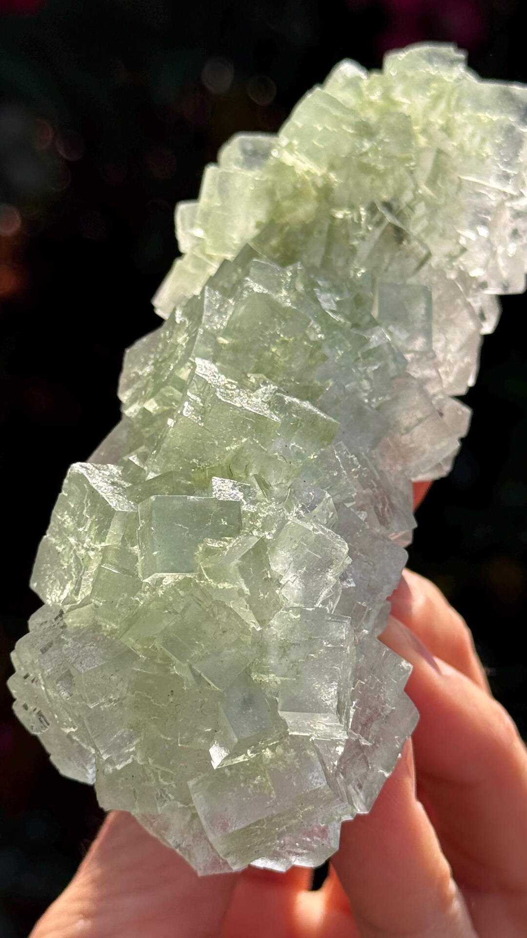 Halite Crystal Raman 188g Natural Halite Crystal Cluster (galite) With Atacamite – Poland ...