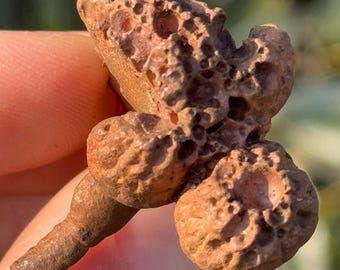 Native raw copper nugget 6p-1 DR Congo