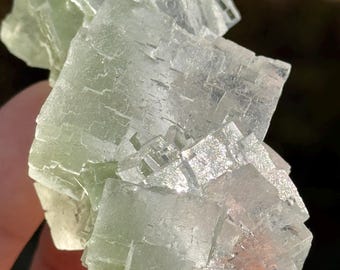 124g Natural Halite Crystal Cluster (Galite) with Atacamite – Poland – Raw Cubic Specimen | Evaporite Crystal | 45p-6