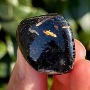 May include: A polished, black gemstone with golden inclusions. The stone is held between fingers, with a blurred green background. The surface of the stone is reflective, catching the light and highlighting its smooth texture.