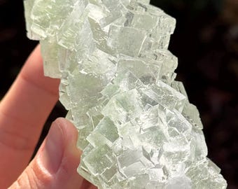 211g Natural Halite Crystal Cluster (Galite) with Atacamite – Poland – Raw Cubic Specimen | Evaporite Crystal | 45p-1