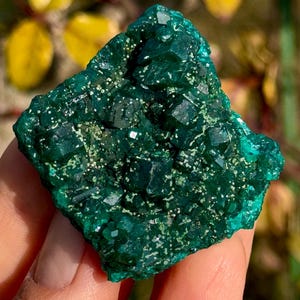Cristal de dioptase vert RD du Congo | Spécimen de pierre chakra 10p-1