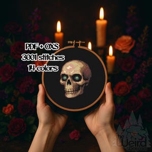 May include: A cross-stitch skull design in a wooden hoop, held by hands. The skull has green eyes and is surrounded by a black background. Text on the image reads "PDF + OXS 3001 stitches 14 colours". The background features candles and roses.