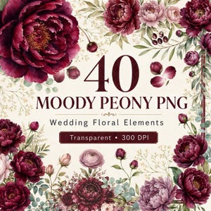 May include: A digital collection of 40 moody peony PNG wedding floral elements featuring deep burgundy and soft pink flowers, buds, and green foliage arranged in a frame. The text reads 40 MOODY PEONY PNG Wedding Floral Elements Transparent 300 DPI.