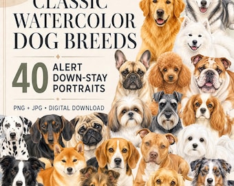 May include: A digital collection of 40 watercolor dog breed portraits featuring various breeds like Golden Retrievers, Huskies, and Bulldogs. The text reads CLASSIC WATERCOLOR DOG BREEDS 40 ALERT DOWN-STAY PORTRAITS PNG + JPG DIGITAL DOWNLOAD.