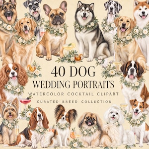 Op de afbeelding: Een collectie aquarellen van hondenportretten van verschillende rassen met bloemenkransen, vergezeld van cocktailillustraties en de tekst 40 DOG WEDDING PORTRAITS WATERCOLOR COCKTAIL CLIPART CURATED BREED COLLECTION op een crèmekleurige achtergrond.