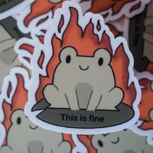 Adesivo This Is Fine Frog / Adesivo in vinile con meme divertente / Adesivo estetico con energia caotica per laptop, bottiglie d'acqua e diari