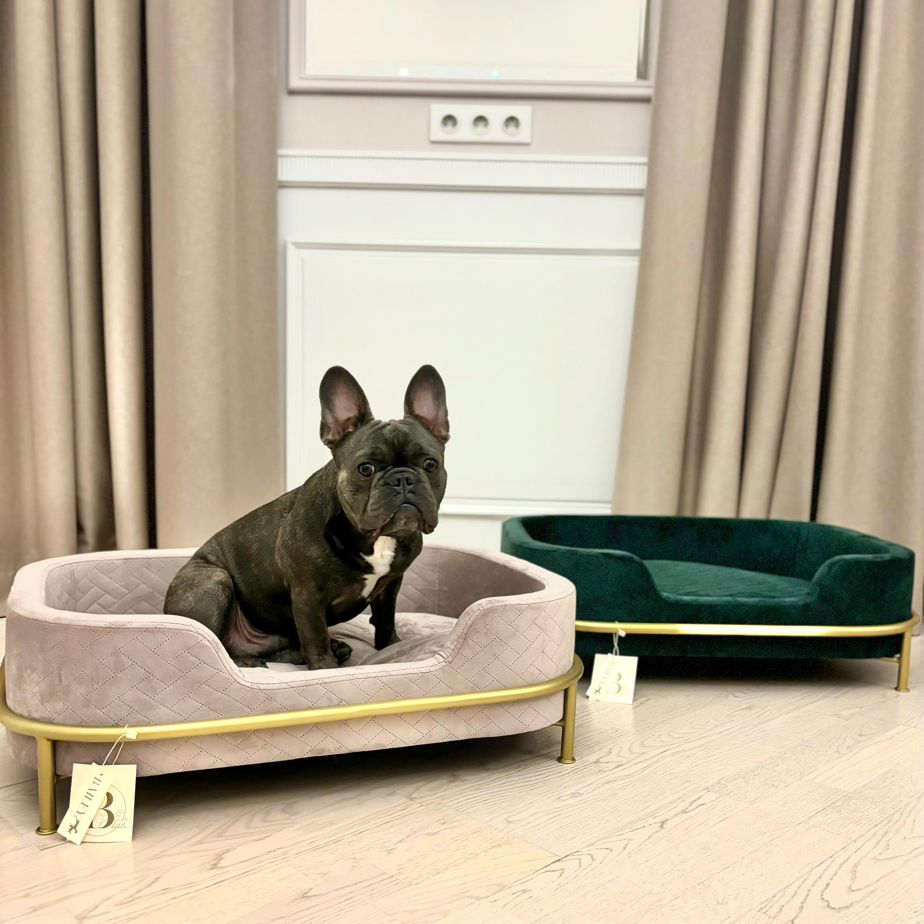 Boho Orthopdische Hundebett, antiallergene Franzsische Bulldogge Bett,  Bio-Katzencouch, Katzenbett mit Kissen, Hundebett Mbel, Geschenk fr  Katzenliebhaber - Etsy.de