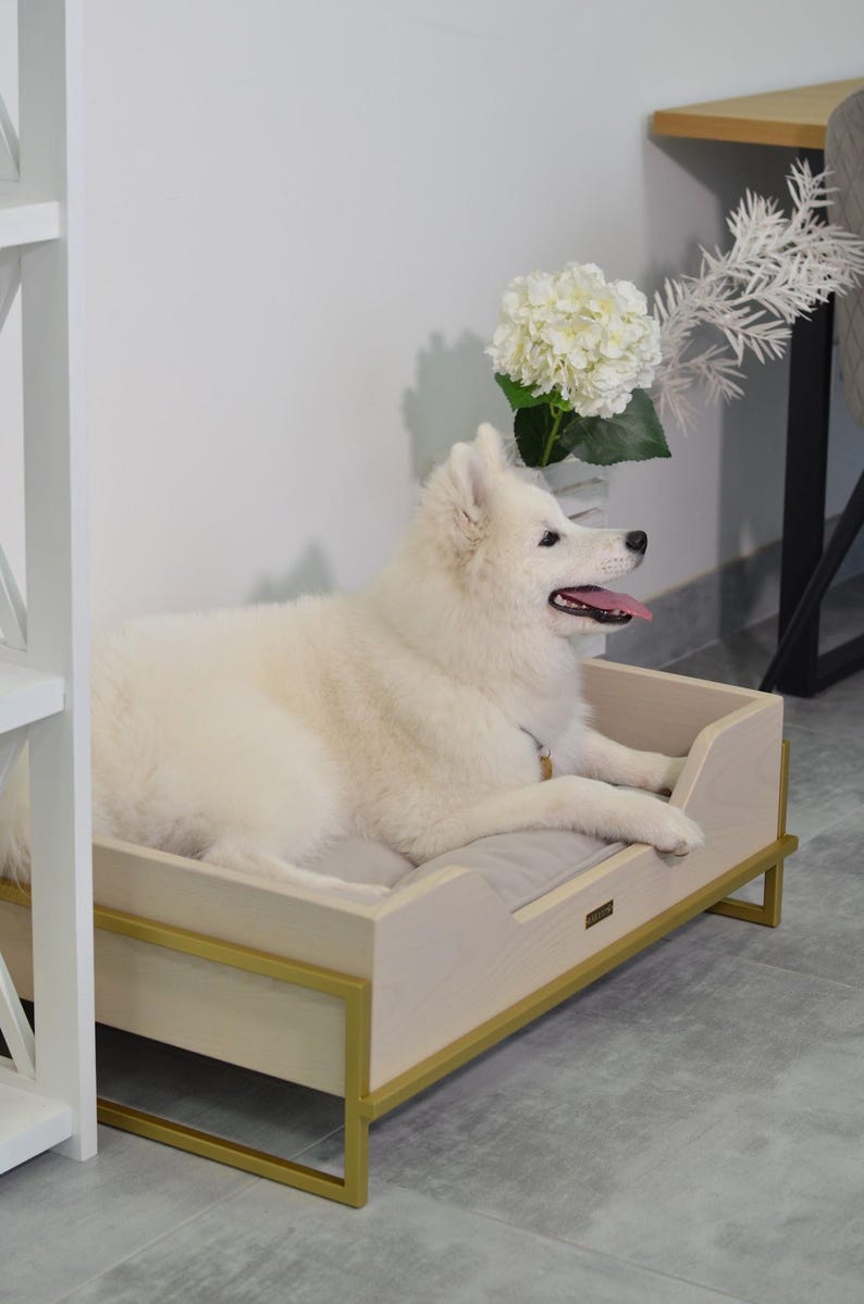 May include: A white dog lays in a light wood dog bed with a gold metal frame. The bed has a gray cushion. The dog is looking to the right.