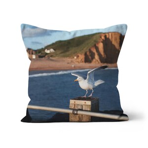 Cushion