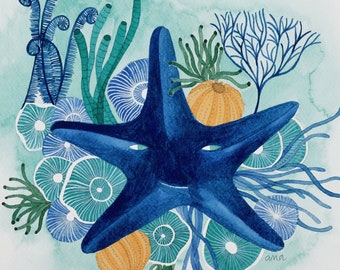 indigo starfish original watercolor illustration