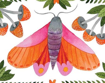 orange and pink moth with mushrooms & leaves wall art print illustration for insect lovers