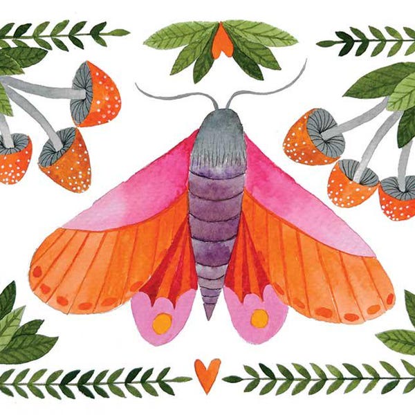 orange and pink moth with mushrooms & leaves wall art print illustration for insect lovers