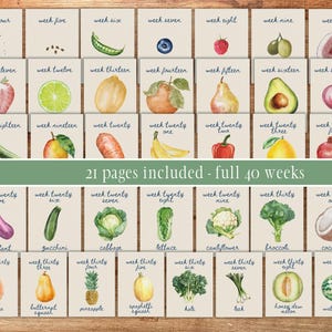 K&ouml;nnte beinhalten: Ein Satz von 21 druckbaren Karten mit Aquarell-Illustrationen von Obst und Gem&uuml;se. Jede Karte hat eine Wochenzahl und den Namen des Produkts. Die Karten sind mit "21 Seiten enthalten - volle 40 Wochen" beschriftet.