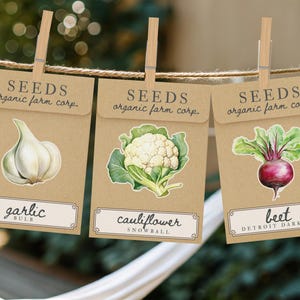 Printable Farmers Market Banner, She’s Fresh Off The Market, Bridal Shower, Locally Grown Baby, Market Bridal Shower, Baby Shower Decor