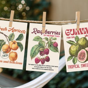 Banner stampabile per il mercato agricolo, "She's Fresh Off The Market", addio al nubilato, download immediato, addio al nubilato al mercato, modello, frutta vintage