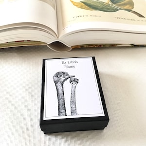 Adesivos para ex-libris Dois avestruzes, presentes literários para amantes de livros, 25 Ex-líbris personalizados