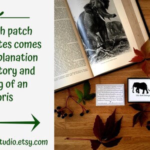 Exlibris Art Nouveau Forest 25 Ex Libris Sticker Set, Stunning Literary Gifts, Beautiful Mindfulness Gift image 7