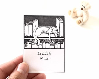 Literary Gifts for Readers, 25 Sweet Cat Nap on the Bookshelf Exlibris, Big Sister Gift