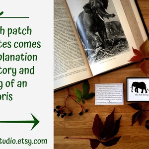 Puede incluir: Un primer plano de una ex libris con una silueta de un elefante y una cr&iacute;a. La ex libris est&aacute; sobre una superficie de madera con hojas de oto&ntilde;o y bayas. El texto en la ex libris dice "Este libro pertenece a".