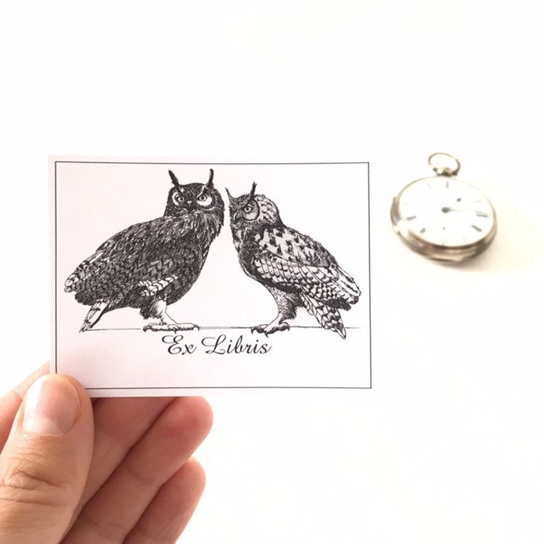 Ex Libris Sticker Owls Love, Set of 25 Personalized Exlibris, Brother Sister Gift, Literary Gifts image 2