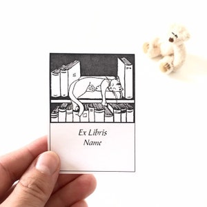 Exlibris Cat Nap on the Bookshelf, 50 Pieces Cute Personalized Literary Gifts, Librarian Gifts image 2