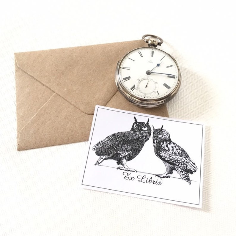 Ex Libris Sticker Owls Love, Set of 25 Personalized Exlibris, Brother Sister Gift, Literary Gifts image 1