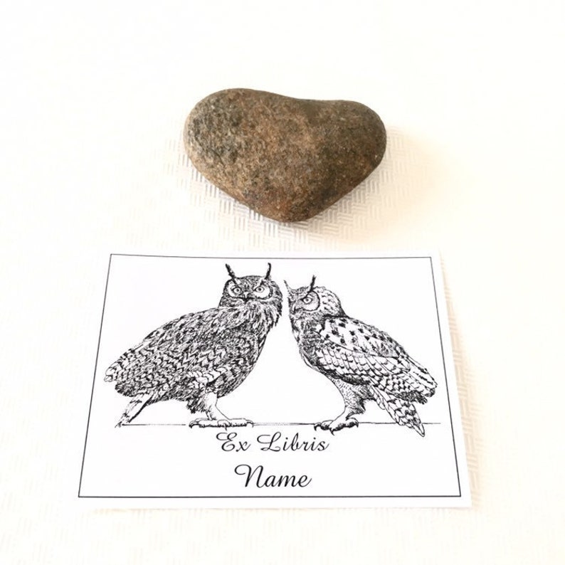Ex Libris Sticker Owls Love, Set of 25 Personalized Exlibris, Brother Sister Gift, Literary Gifts image 3