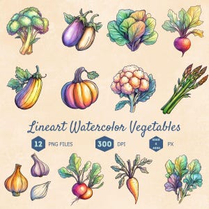 Lineart Watercolor Vegetables Clipart Bundle 12 PNG Files, High Resolution 300 DPI Digital Download Crafts Clip Art, Transparent Background