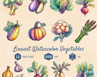 Watercolor Vegetable Clipart: Lineart PNG Bundle (Digital Download)