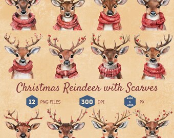 Christmas Reindeer Clipart Bundle, Reindeer with Scarf, Holiday Clipart, Christmas Animal, Festive Illustrations for Print, Transparent PNG
