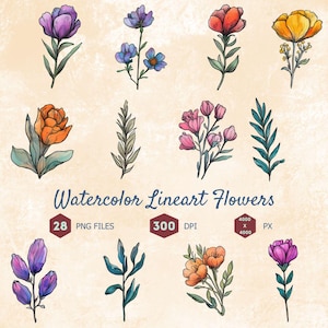 Watercolor Lineart Flowers Clipart Bundle, Drawn Botanical Illustrations, Digital Clip Art, 300 dpi, Transparent PNG, Digital Download