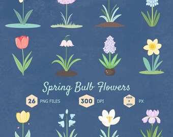 Spring Bulb Flowers Clipart Bundle (Digital Download)