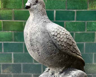 il_340x270.6707890340_sjsn.jpg