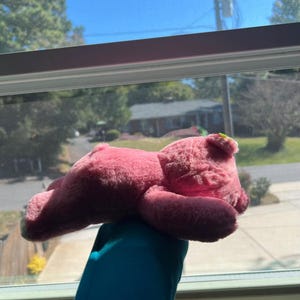 May include: A pink teddy bear plush toy with a light green ear detail. The bear is lying down, with its paws and head visible. The soft toy is held up in front of a window with a view of trees and houses.