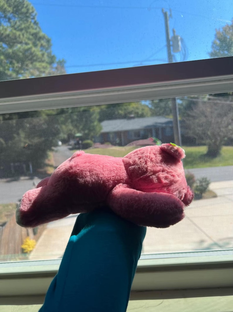 May include: A pink teddy bear plush toy with a light green ear detail. The bear is lying down, with its paws and head visible. The soft toy is held up in front of a window with a view of trees and houses.