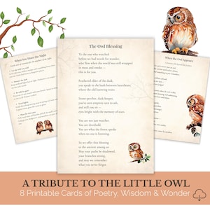 La bendición del búho, búho espiritual, tarjeta con poema, regalo inspirado en la naturaleza, animal del bosque, imprimible ilustrado