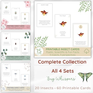 Jeu de 60 cartes imprimables sur les insectes, 20 insectes, trois perspectives, faits poétiques, scientifiques et amusants sur la nature, collection pour les amoureux de la nature