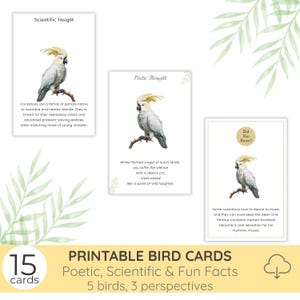 Murmures d'oiseaux, lot de 15 cartes d'art imprimables, geai bleu, cacatoès, pygargue à tête blanche, manchot empereur, autruche, faits poétiques, scientifiques et amusants