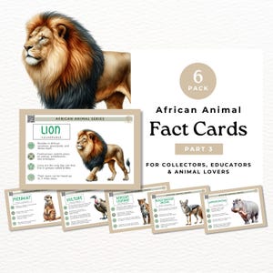 Educatieve informatiekaarten, Afrikaanse dieren, safaridieren (deel 3), voor leerkrachten, thuisonderwijs en verzamelaars AF01