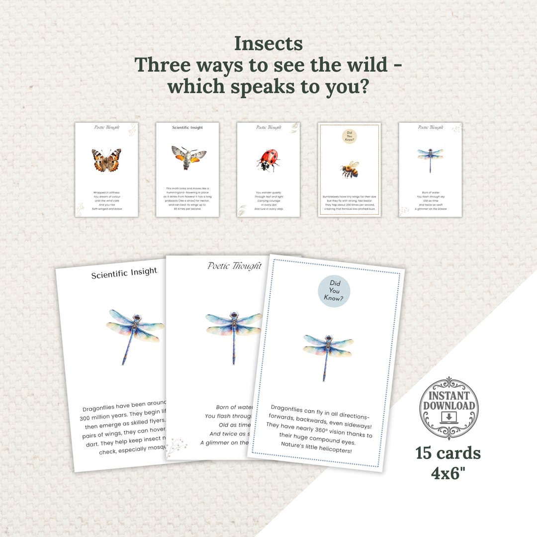 Insect Ritual Card Printable Insect Art Cards, Nature-inspired Learning (PDF) - Etsy