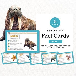 Educatieve informatiekaarten, zeedieren (deel 1), voor leerkrachten, thuisonderwijs en verzamelaars SA02