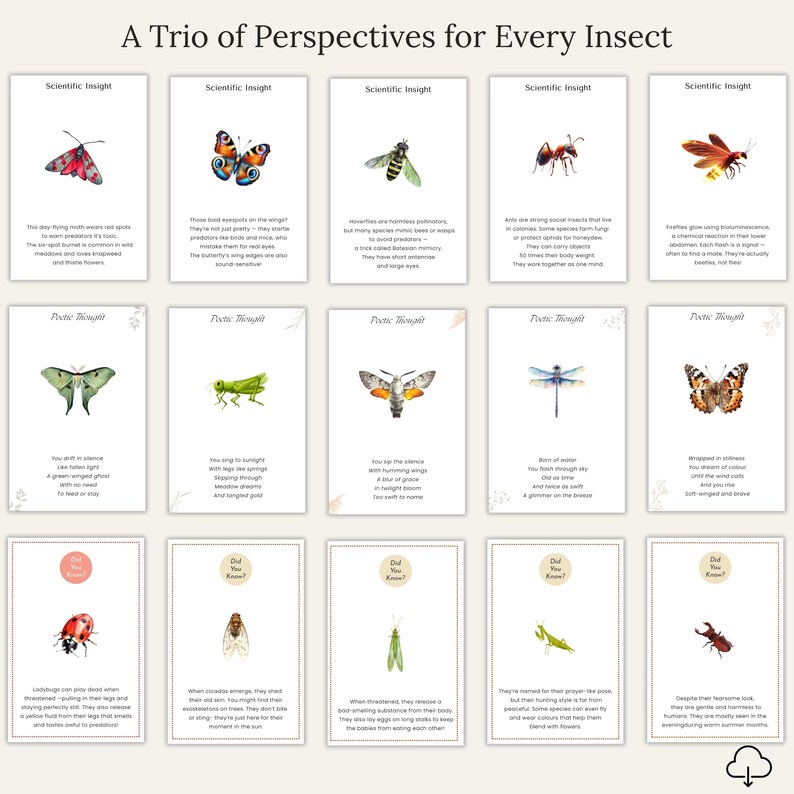 60 Printable Insect Card Set, 20 Insects, Three Perspectives, Poetic ...
