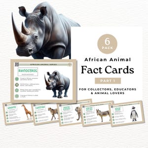 Schede didattiche didattiche, animali africani, animali del safari (parte 1), per insegnanti, homeschooling e collezionisti AF01