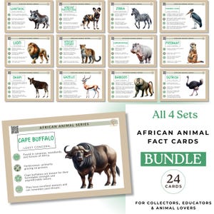 Cartes d'information sur les animaux d'Afrique, lot éducatif sur la faune et la flore pour les enfants, 24 anecdotes amusantes sur les animaux d'Afrique et icônes de conservation, ressource pour l'école à la maison