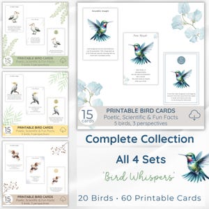Jeu de 60 cartes à imprimer sur les oiseaux, 20 oiseaux, trois perspectives, faits poétiques, scientifiques et amusants sur la nature, collection pour les amoureux de la nature