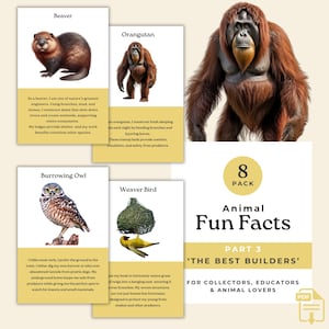 Leuke weetjeskaarten voor studenten en volwassenen, The Best Builders Animals, leuke weetjeskaarten, 8 afdrukbare kaarten TCA01