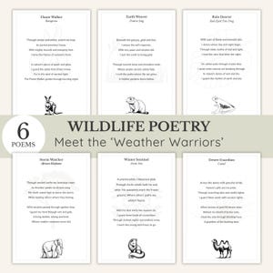 Cartes de poésie animalière, Guerriers de la météorologie, Cartes de poème animalier, Version imprimable, Ensemble inspiré de la nature avec fiche éducative en prime