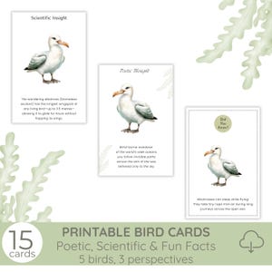 Murmures d'oiseaux : un trio de perspectives, 15 cartes d'oiseaux imprimables, pensées poétiques, informations scientifiques, faits amusants, oeuvre miniature inspirée de la nature